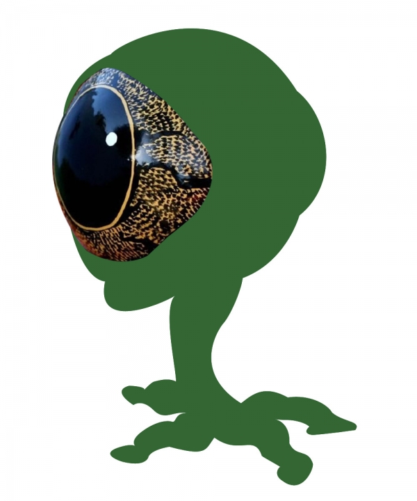 Creation of Frogeye Family(Alien): Step 2